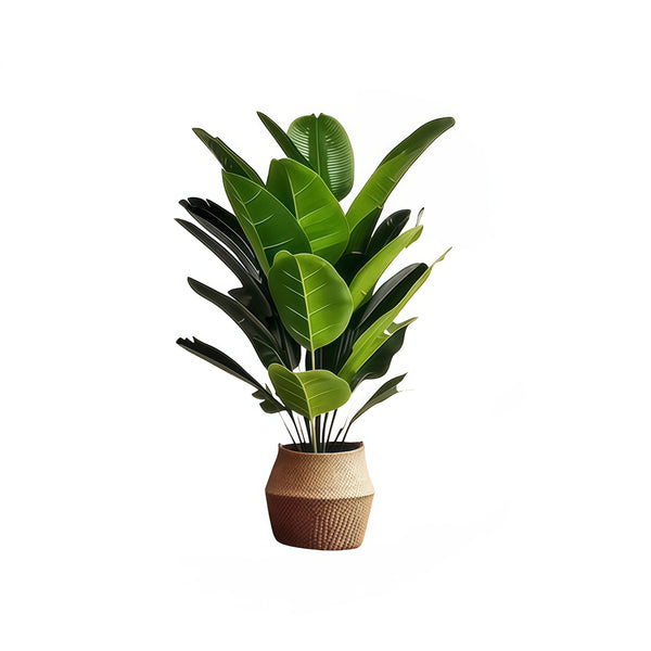 Artificial green Plant Traveler banana-More size