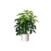 Artificial green Plant Money tree-More size