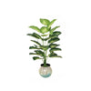 Artificial green Plant pineapple leaf-More size